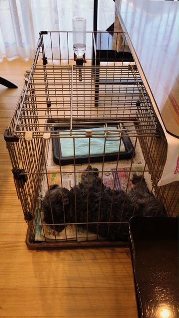 class=wp-image-4454/