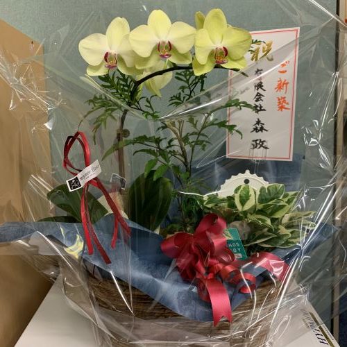 class=wp-image-4586/