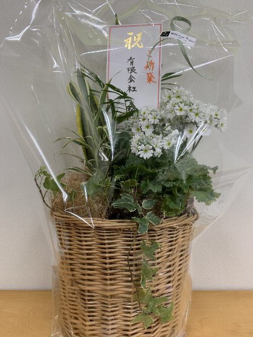 class=wp-image-4622/